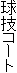 球技コート
